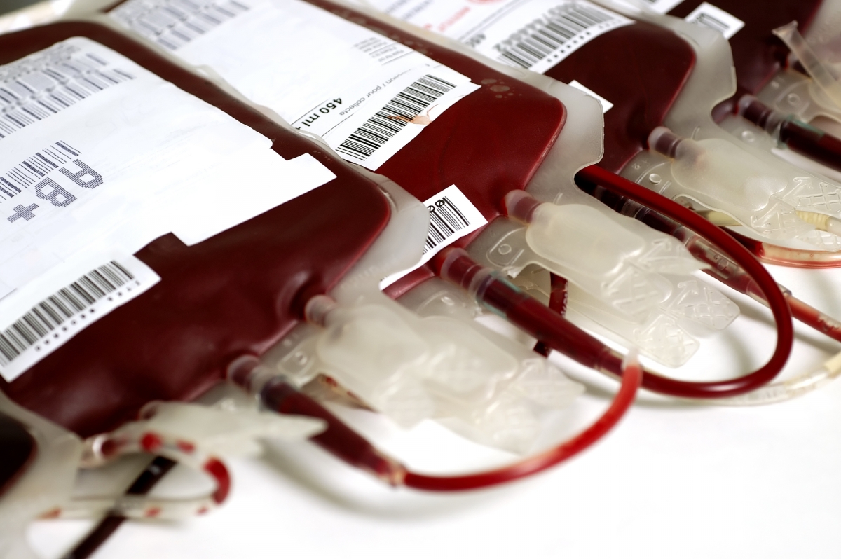 Importância da doação de sangue